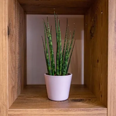 Charna Beograd Apartmán