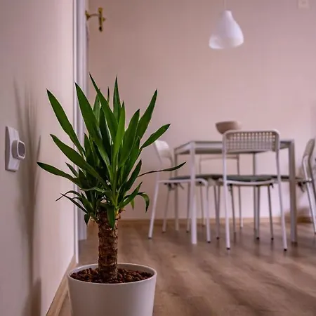 Apartment Charna Beograd Železnik